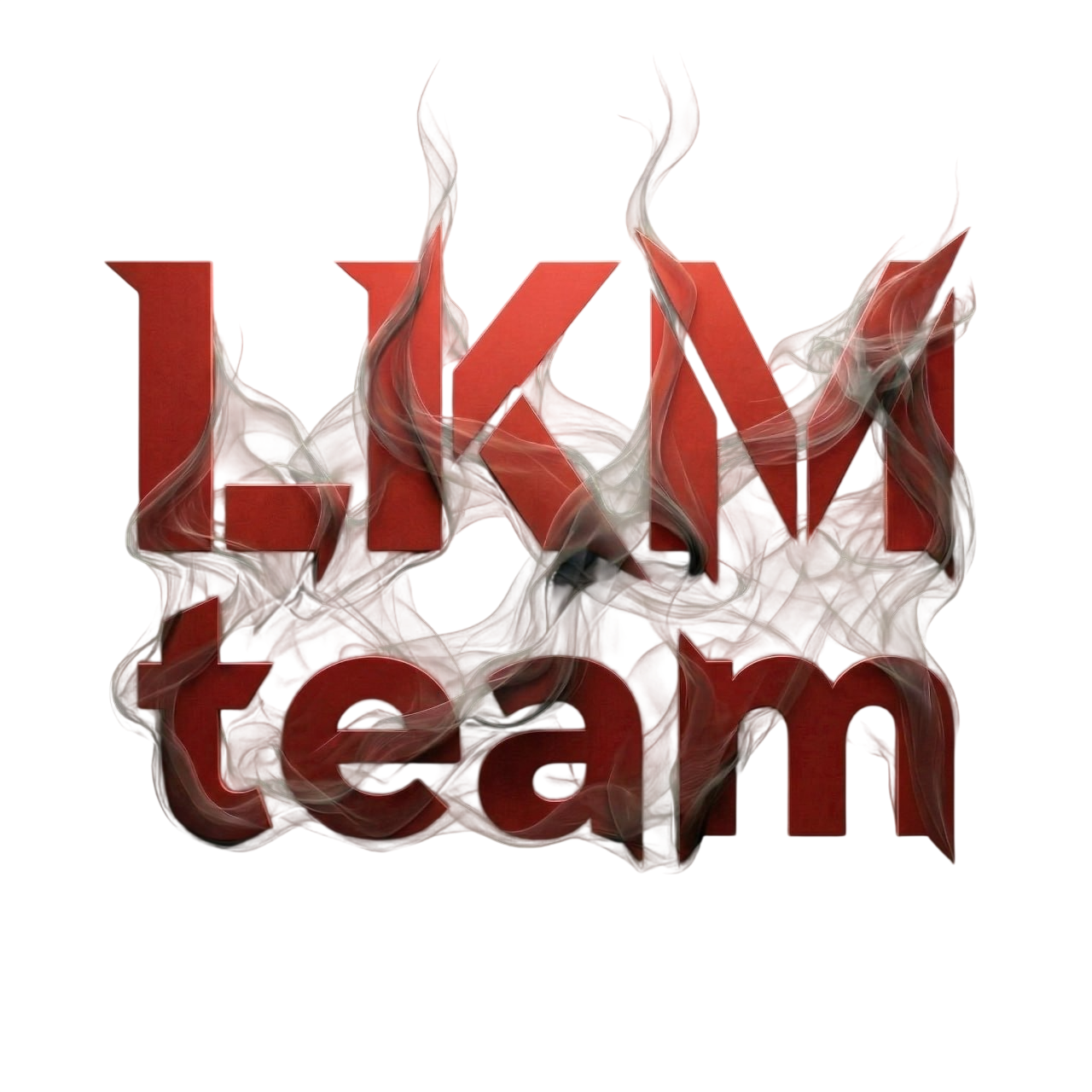 LKM TEAM Logo